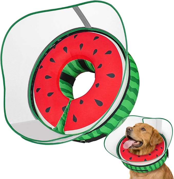 Raised Inflatable Dog Cone After Surgery - Adjustable Recovery Donut Collar with Neck Strap and Removable Anti-Licking Shield - Soft Dog Cone Alternative for Small to Large Dogs (Watermelon,L)