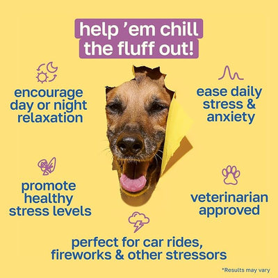 Happy Paws Calming Chews for Dogs, Relaxation & Anxiety Support for All Breeds & Ages, Dog Sleep Aid with L Theanine & Chamomile, Vegan Peanut Butter Flavor, Organic, Non GMO, 200 Soft Chews