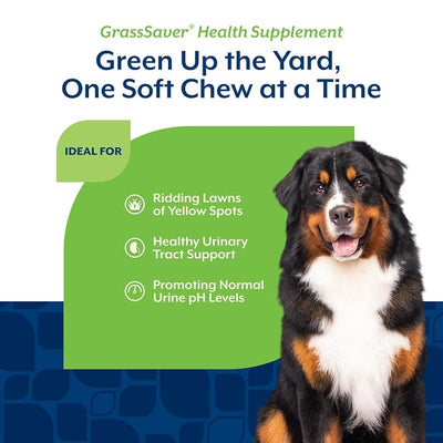 NaturVet – GrassSaver Supplement for Dogs – Healthy Supplement to Help Rid Your Lawn of Yellow Spots – Synergistic Combination of B-Complex Vitamins & Amino Acids – 240 Soft Chews
