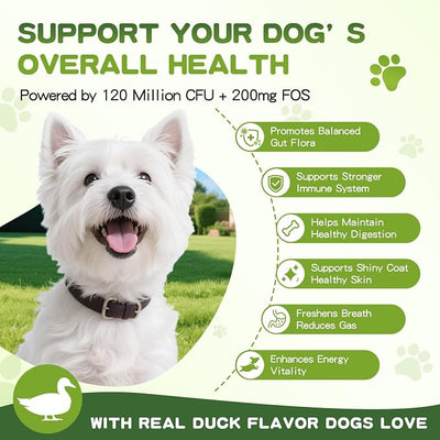 Probiotics for Dogs - 150 Soft Chew, Dog Probiotics for Digestive Health and Diarrhea, Allergies & Immune Support Dog Probiotic Supplement, Daily Probiotics for All Dogs, Natural Duck Flavor