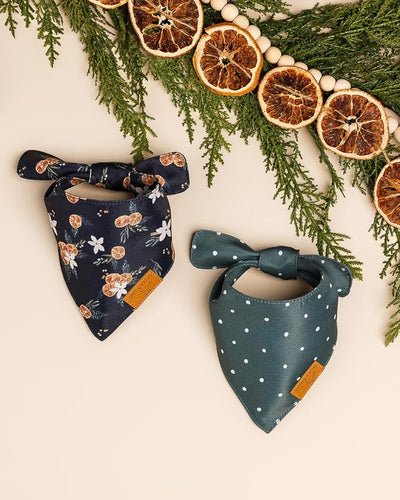 Remy+Roo Dog Bandanas - 2 Pack | Evergreen Christmas Dog Bandanas Set | Premium Durable Fabric | Patented Shape Bandanas for Dogs (Clementine, Large)