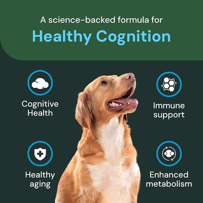 VetriScience Veterinary Strength Healthy Cognition Chews - Senior Wellness Supplement for Dogs - Supports Cognition, Immune Function & Metabolism - 60 Count