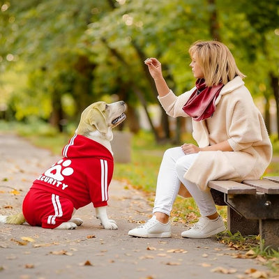 Dog Hoodie Security Clothes 4 Legs Jumpsuit Sweatshirt Hoodies Soft & Warm Dog Outfit Pullover Dog Winter Clothes Sweater for Small Medium Large Dogs Cats (Red, Large)