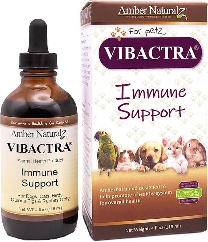Amber NaturalZ Vibactra Immune Support Herbal Supplement for Dogs, Cats, Birds, Guinea Pigs, and Rabbits | Pet Herbal Blend for Overall Health | 4 Fluid Ounce Glass Bottle | Manufactured in the USA