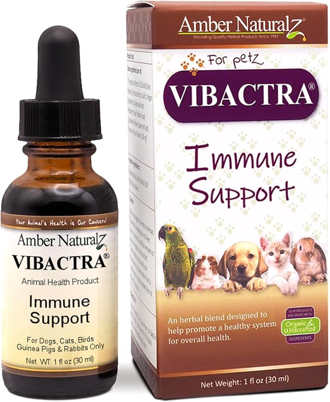 Amber NaturalZ Vibactra Immune Support Herbal Supplement for Dogs, Cats, Birds, Guinea Pigs, and Rabbits | Pet Herbal Blend for Overall Health | 1 Fluid Ounce Glass Bottle | Manufactured in the USA