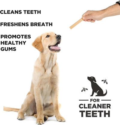 Hive Chew Sticks - Dental Treats for Dogs - Vegetarian, Made with Ground Peanuts & Honey, No Grain or Soy, Cleans Teeth & Freshens Breath (12 oz, Hive Chew Sticks for Large Dogs)
