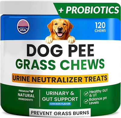 PAWFECTCHEW Green Grass Dogs Chews w/Probiotics - Prevent Urine Burning Grass - Pee Gras Spot Saver - Dog Urine Neutralizer for Lawn Treats, UT & Gut Health for Dogs, Lawn Burn from Dog Urine