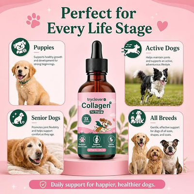 Collagen for Dogs, Bloom Collagen for Dogs, Premium Liquid for Daily Joint Skin Health & Coat, Gentle Formula, Convenient to Add to Food, 60ml (1pcs)