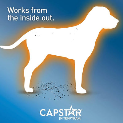 Capstar (Nitenpyram) Fast-Acting Oral Flea Treatment for Dogs 2-25 Lbs, Vet-Recommended Medication Tablets, Flea Tablets for Dogs Start Killing in 30 Minutes, 6 Doses