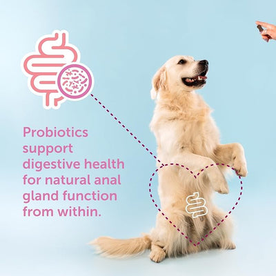 Gland-Ease Dog Canine Chews (for Large Dogs) | For dogs prone to scooting - Promotes stool consistency - Digestive & fiber support