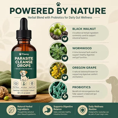 Pawsy Parasite Cleanse Drops, Herbal Digestive Support Liquid for Dogs, Daily Gut Wellness Formula with Probiotic Blend for Small Medium & Large Dogs, 2 Fl Oz