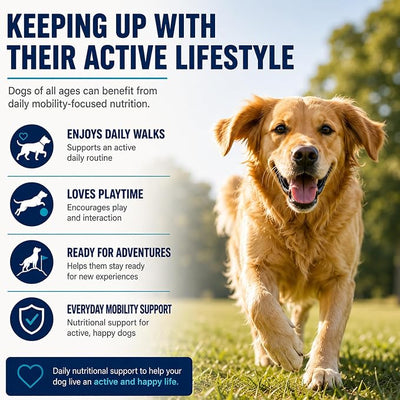 Pawprovet Mobility Hip and Joint, Daily Soft Chews with Glucosamine, Chondroitin, MSM, Green-Lipped Mussel and Boswellia, Easy Chew Routine for Adult and Senior Dogs