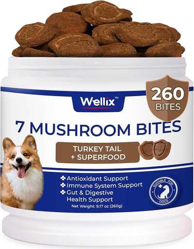 260 Bites Turkey Tail Mushroom for Dogs - Immune, Gut, Skin, Joint Health Mushroom Supplement for Dogs - Turkey Tail for Dog Chews with All Breeds & Sizes - Chicken Flavor Dog Supplements