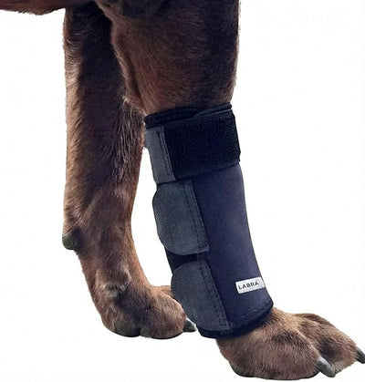 Labra Dog Front Leg Brace - Compression Wrap with Adjustable Straps - Dog Wrist Brace for Support - Leg Sleeve to Stop Licking - Aid in Wound Care and Recovery - Small/Medium
