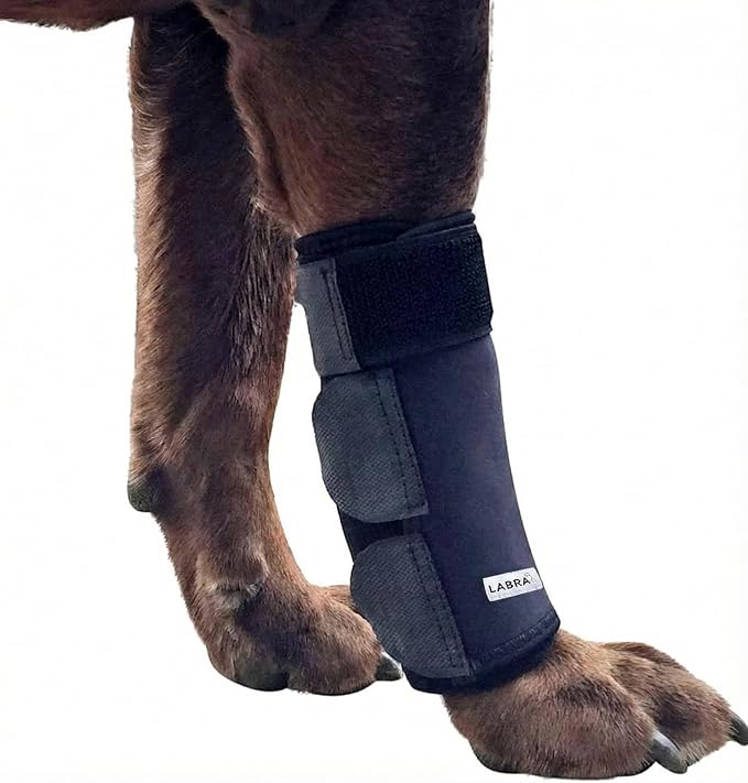 Labra Dog Front Leg Brace - Compression Wrap with Adjustable Straps - Dog Wrist Brace for Support - Leg Sleeve to Stop Licking - Aid in Wound Care and Recovery - Large/Extra Large