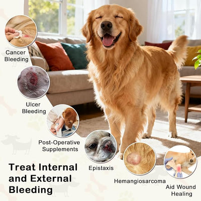 Yunnan Sanqi Capsules for Dogs, Herbal Quick Stop Bleeding, Blood Support for Hemangiosarcoma, Hemoabdomen, Cancer Bleeding, Pericardial Effusion, Ulcer-Related Bleeding, Bloody Stools - 90 Capsules