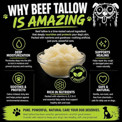 Ketostat 2 oz Dog Paw & Nose Balm Lick-Safe Made with Beef Tallow Giant Stick, Fragrance-Free Paw Protector