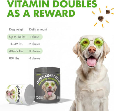 Liver & Kidney Support for Dogs Detox Natural Supplement with Milk Thistle Dandelion Root Turmeric Curcumin Hepatic Support Treats for Canine Liver Function (30 Chews (Pack of 1))