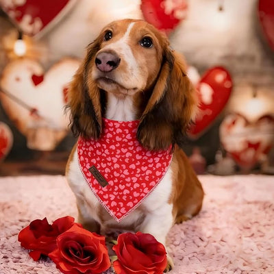 Valentine's Day Dog Bandanas Boy Girl Red Pink Love Cotton Washable Dog Scarf Adjustable Pet Bib Scarves for Small Medium Large Dogs S