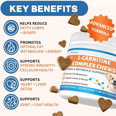 Lipoma Treatment for Dogs – L-Carnitine Optimizes Fat Metabolism & Comfort; Advanced Formula with Turkey Tail, Yunnan Sanqi, CoQ10 & Curcumin Blend for Cellular Care, Immunity & Vitality - 150 Chews