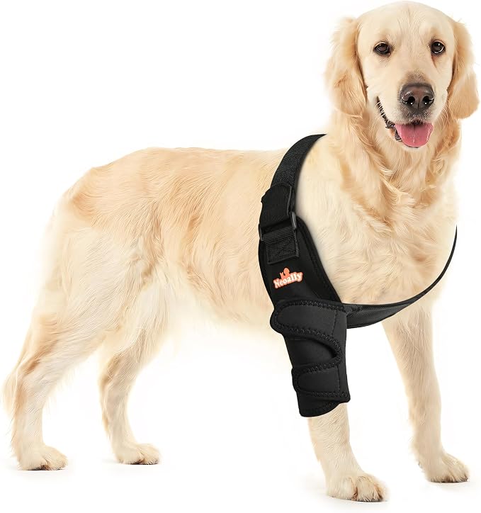 NeoAlly Breathable Dog Elbow Brace Protector for Canine Elbow and Shoulder Support Elbow Hygroma, Dysplasia, Osteoarthritis, Elbow Calluses, Pressure Sores and Shoulder Dislocation (Right X-Small)
