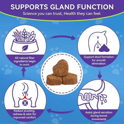 Anal Gland Chews for Dogs - No Scoot for Dogs with Pumpkin, Inulin & Probiotics for Dogs Digestive, Supports Anal Gland Healthy & Bowel Function Fiber Supplement for Dog Chicken Flavor 200 Soft Chews