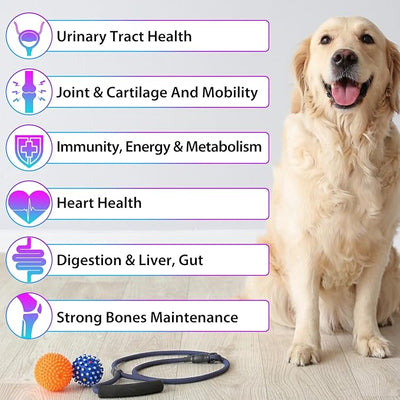 15-in-1 Dog Multivitamin Drops for Dogs | Liquid Multivitamin with Glucosamine, MSM & Omega for Joint, Heart, Immune & Skin Health | Easy Liquid Drops for Picky Eaters