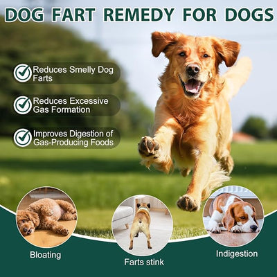 Dog Fart Remedy with 4B CFU Pediococcus Acidilactici Probiotics & Digestive Enzymes, Helps Reduce Smelly Gas & Bloating, Supports Dog Gut Health & Digestive Balance, Powder for Dogs – 5 oz
