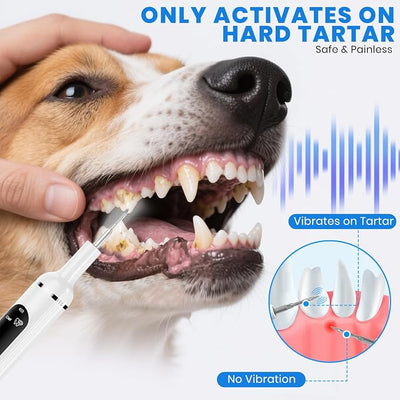 Pet Ultrasonic Tooth Cleaner,Dog Plaque Remover Tool,White | dog teeth cleaning,plaque remover for teeth,dog tartar and plaque remover,plaque off for dogs,5 Mode Pet Teeth Cleaning Kit