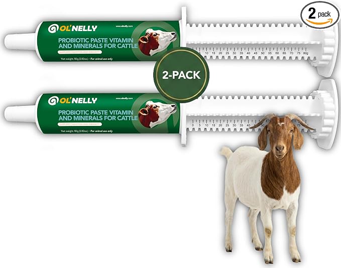 Ruminant Probiotic Paste for Cattle & Goats | Prebiotic + Probiotic | 6 Strains, 12B CFU | Digestive, Rumen & Immune Support - Pack of 2-80G Each