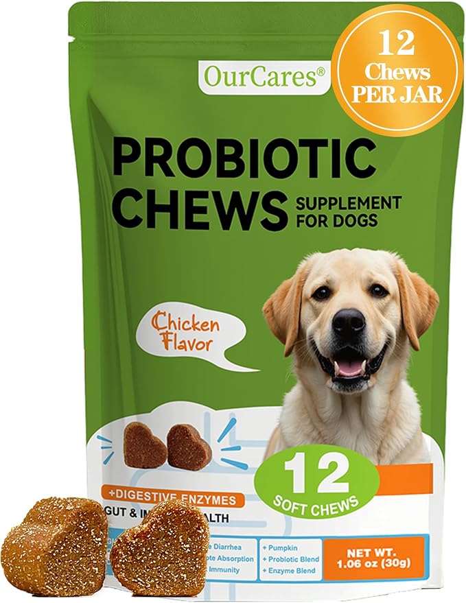 Probiotics for Dogs - Dog Probiotics for Digestive Health - 40 Billion CFU Dog Probiotic FOS Enzymes Pumpkin - Daily Gut Health for Sensitive Stomach Diarrhea Relief, Chicken Flavor, 12Ct