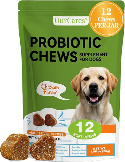 Probiotics for Dogs - Dog Probiotics for Digestive Health - 40 Billion CFU Dog Probiotic FOS Enzymes Pumpkin - Daily Gut Health for Sensitive Stomach Diarrhea Relief, Chicken Flavor, 12Ct