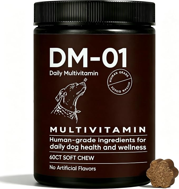 DM-01 Daily Multivitamin - Advanced Skin & Coat Support, Multivitamin Itch Relief Chews for Dog with HCI & MSM, Salmon Oil, Chondroitin & Vitamins, Promotes Skin and Coat Healthy, 60 Chews, Beef