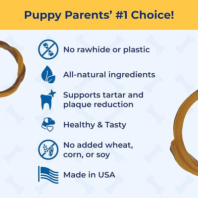 N-Bone Puppy Teething Rings Taste of Texas Queso Con Carne Flavor 3 Count (Pack of 2)