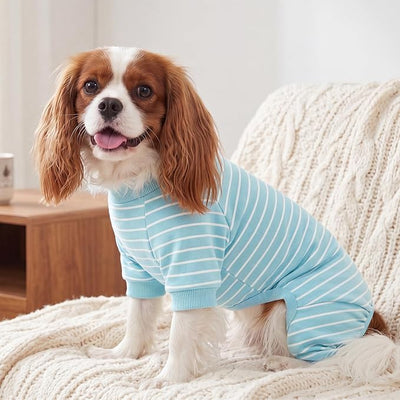 XPUDAC 4 Pack Dog Pajamas Striped Dog Clothes for Small Medium Dogs Girl Boy Comfy Puppy Outfit Doggy Jammies Onesie Pet Costume, Blue, Grey, Green, XL