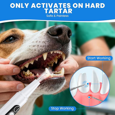 Dog Plaque Remover for Teeth,with UV Sanitizing Chamber | Stores & Sanitizes Metal Tips After Use,6 Cleaning Modes for Different Needs,dog teeth cleaning,plaque remover for teeth
