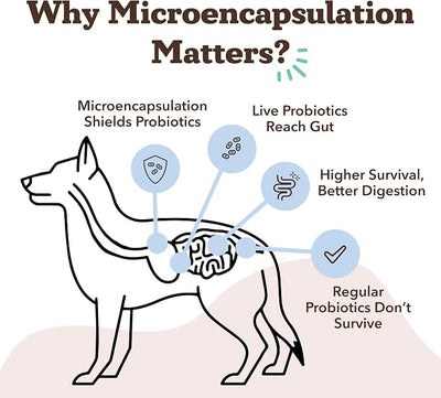 Natural Dog Company Probiotics for Dogs – Dog Probiotic Chews with 1B CFUs, Canine-Specific Microencapsulated Strains, Prebiotics & Enzymes for Digestive Health, Stool & Immune Support, 45 Ct