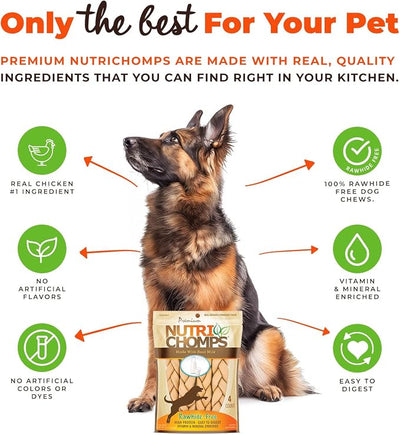 NutriChomps 9-inch Braid, Rawhide-Free Dog Treats, Easy to Digest, Healthy, 4 Count Milk