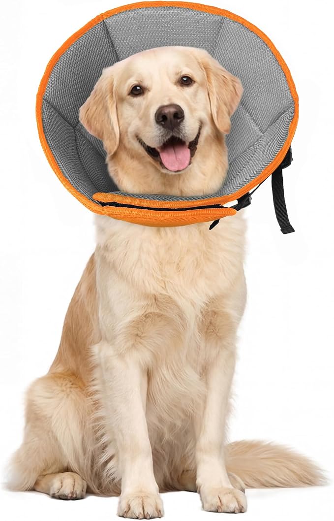 Allroaring Adjustable Dog Cone for Spay, Comfy Recovery Collar Orange XL | Breathable & Lightweight; Soft Fabric; Wound Healing & Stitches; Chewing Deterrent; Foldable; Extra Long; Protect Furniture
