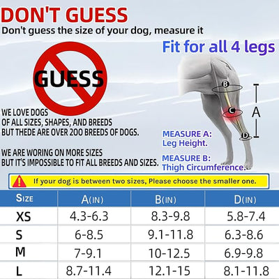 M Dog Leg Braces for Back Leg for Support with Cruciate Ligament Injury-Better Recovery with Dog Knee Brace for Torn Acl Hind Leg-Adjustable Hip Dysplasia Dog Acl Brace Hind Leg Rear