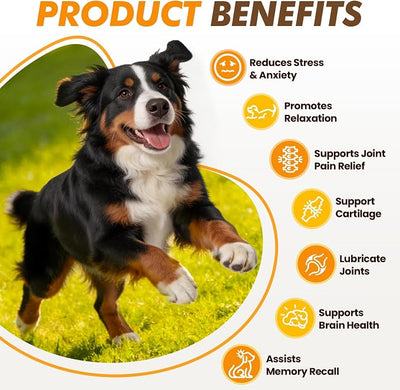 200 Ct 3-in-1 Calming Joint Cognition Soft Chews for Dogs Calm Treats Supplements for Anxiety Relief Hip and Joint Support Brain Health with Fish Oil Ashwagandha Chamomile Glucosamine Chicken Flavor