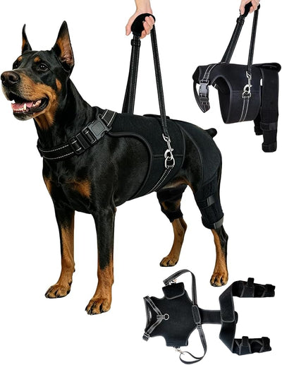 2-in-1 Dog Knee Brace and Lift Harness, Adjustable Back Leg Support with Stabilizers for ACL Recovery & Joint Care, Dog Sling for Hind Legs, Mobility Aid for Elderly Dogs with Luxating Patella (M)