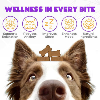 Hemp Calming Chews for Dogs - 150 pcs - for Stress, Travel, Check-ups, Barking, or Grooming - Anxiety Relief with Melatonin - Chicken Flavored Calming Treats