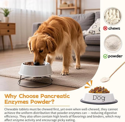 Pancreatic Enzyme Powder for Dogs - 10X High Potency Pancreatin Supplement (285g/10oz) - Supports Nutrient Absorption, Improves Digestive Health for Pets