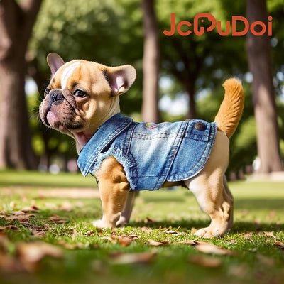 Birthday Gift Boy Dog Jeans Jacket Denim Pet Coat for Puppy Small Dogs Classic Overalls Male Cat Costumes Washed Vest Clothes Outfit T-Shirts (X-Large)