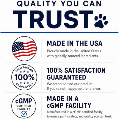 Yeast Infection Treatment for Dogs - Dog Yeast Infection Treatment - Helps Reduce Itching, Irritation, & Paw Licking - 1 fl oz - Bacon Flavor