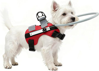 Ring Harness for Blind Dog, Lightweight Blind Ring for Pets, Blind Dog Bumper, Bump Guard for Blind Dogs Upgrade Red Small