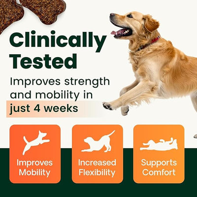 VetriScience Ultimate Strength Healthy Hip & Joint Chews, GlycoFlex Glucosamine, Chondroitin and Green-Lipped Mussel Joint Support Supplement for Dogs, Soothe Discomfort, Bacon, 60 Chews