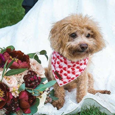 Valentines Dog Bandana - Soft Couple Heart Dog Neck Scarf, Cute Pet Bib for Medium Large Dogs, Valentine Photo Dogs Cats Prop for Daily Use Parties & Pet Photography L