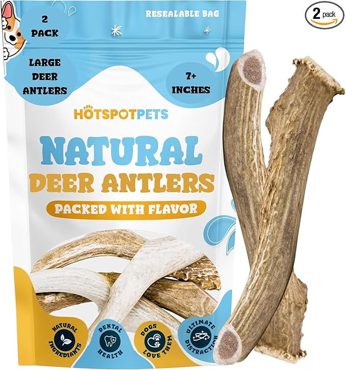 hotspot pets Premium USA Sourced Deer Antlers for Dogs - 7+ Inch Large Antler Dog Chews (2 Pack) Naturally Shed Antler Bone for Large Breed Aggressive Chewers - Promotes Dental Hygiene